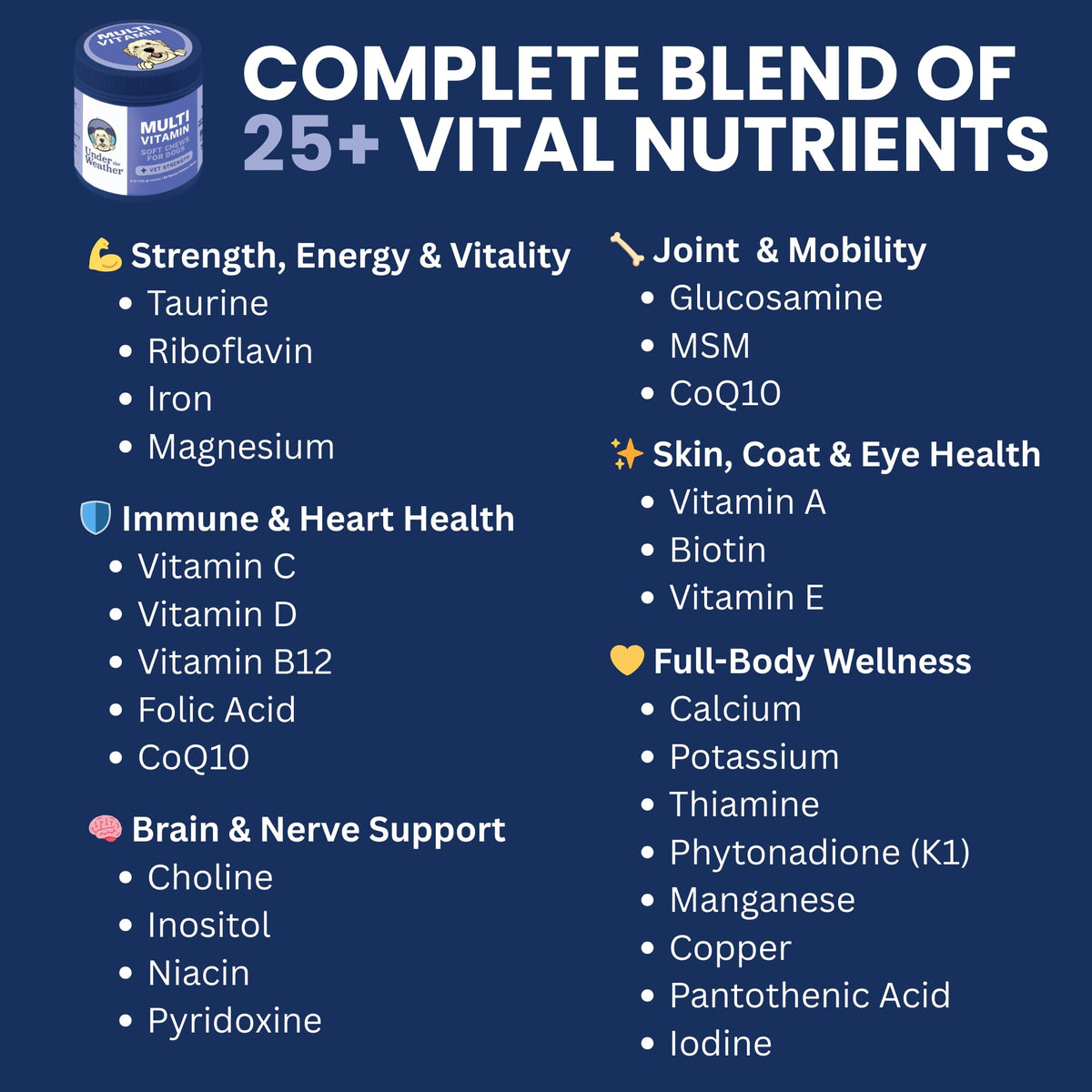 Under the Weather Multivitamin for Dogs | Vet Formulated Daily Canine Health Supplies for Immunity, Skin, Coat & Joint Support | All-in-One Multivitamin for Dogs of All Breeds & Sizes | 60 Count Under the Weather buy supplements Au
