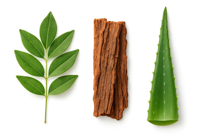 PRIMAL RESOURCE 15 Day Cleanse & Detox – Supports Digestive Health, Regularity & Gut Cleanse –Herbal with Probiotics PRIMAL RESOURCE buy supplements Au