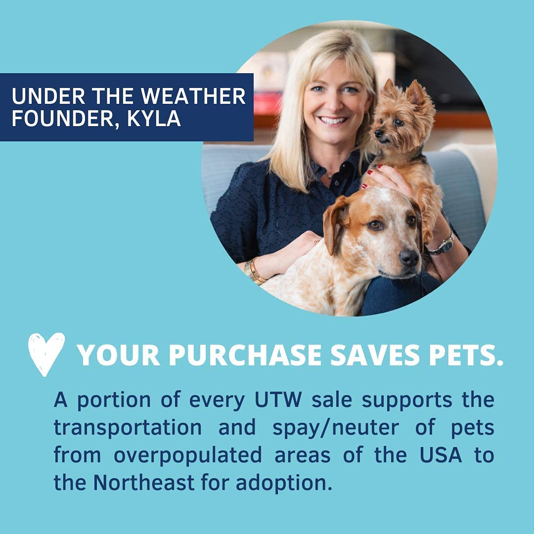 Under The Weather Pet Probiotic Chews for Cats | Promotes Normal Digestion, Balances Healthy Gut Health | 60 Star Shaped Soft Chews