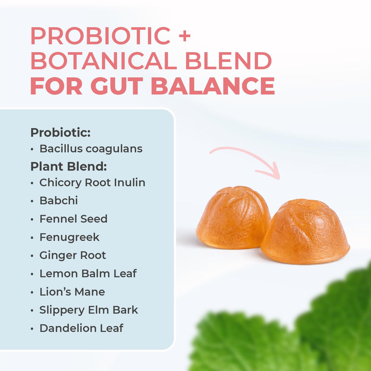 Nature’s NutriWave PrimeBiome Probiotic Gummies – Plant-Based Blend with Inulin, Lion’s Mane, Ginger & More– Non-GMO, No Stimulants, GMP Certified – 30 Gummies, 3 Month Supply Nature’s NutriWaveBuy Supplements Australia