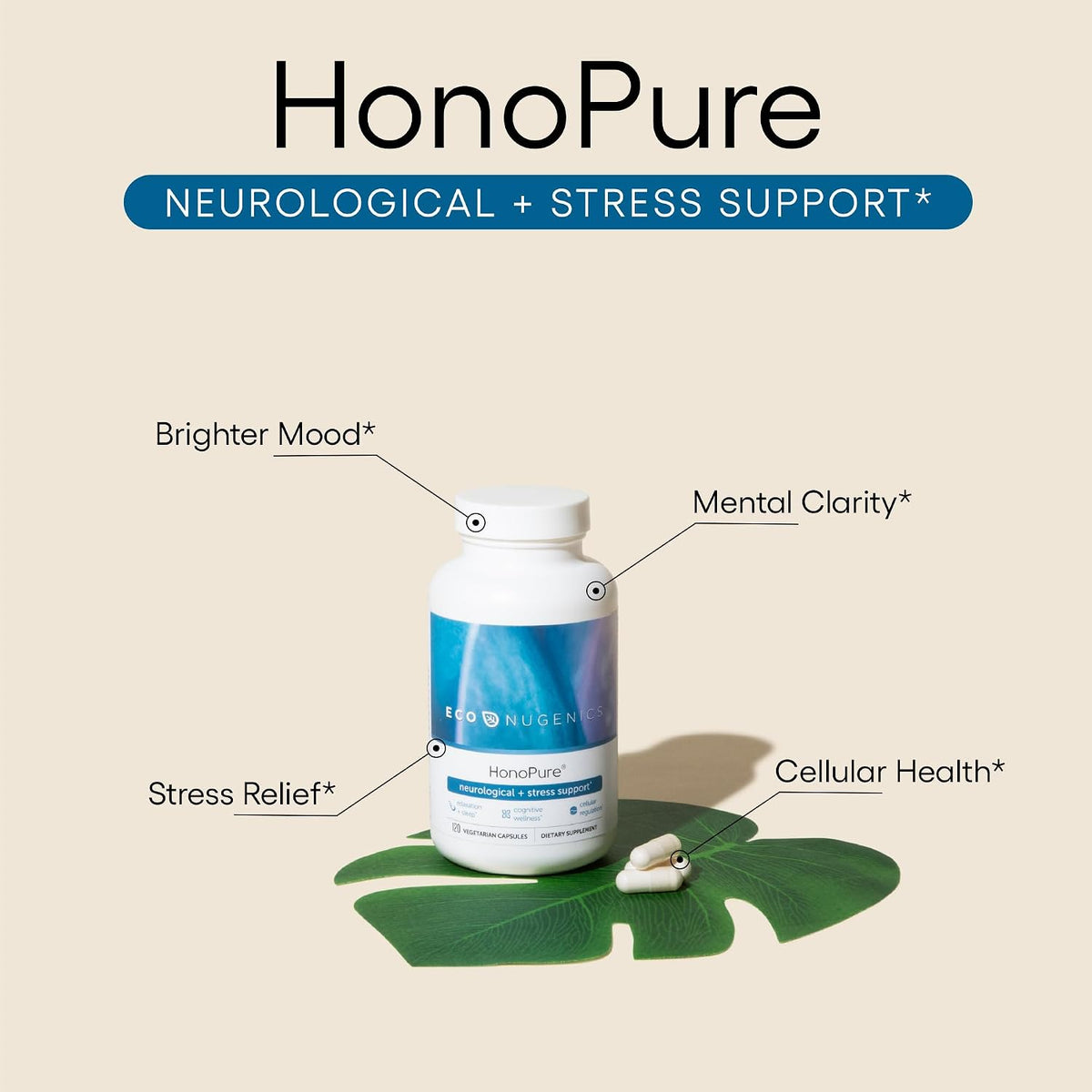 ecoNugenics Brain Health Supplement Bundle – PectaSol Modified Citrus Pectin Fiber + HonoPure Magnolia Bark Extract — Nootropic Pack for Sleep, Stress Relief, Cognitive Function, GABA Support