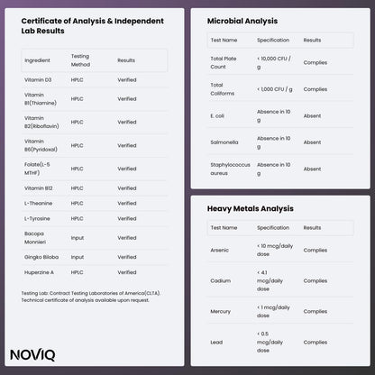 11-in-1 Nootropic Supplement: Supports Memory & Cognition - 100mg Ginkgo 150mg Bacopa 300mcg Huperzine 200mg L-Theanine 150mg L-Tyrosine & Bioactive B-Complex w/ 5-MTHF - 1,100mg+ Serving - 60 Count NOVIQBuy Supplements Australia