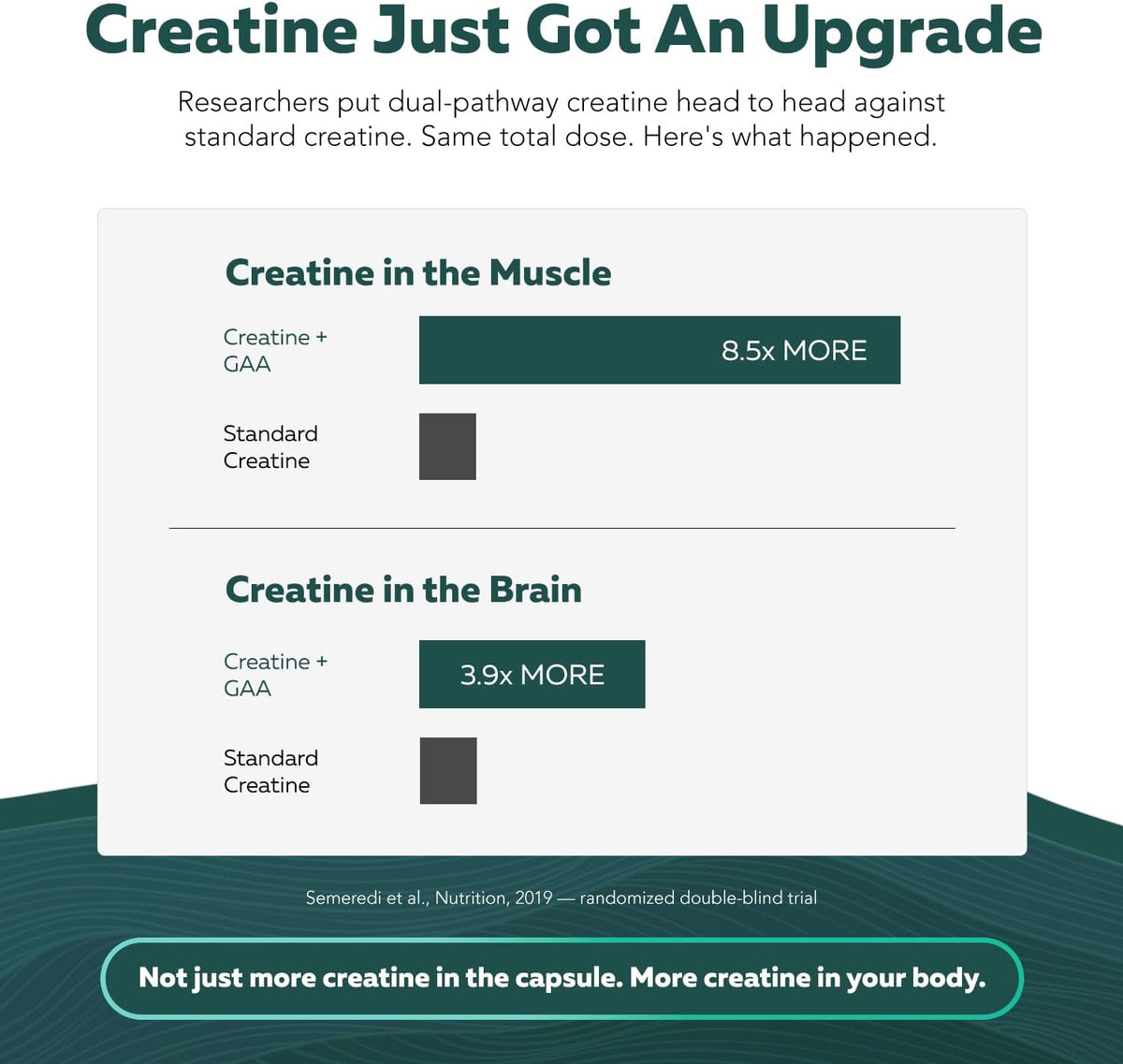 Creatine Reserve™ - Creatine Monohydrate Plus GAA for Mind, Muscle & Energy Support - Dual Pathway Delivery Creatine Supplement for Women & Men - Active B Vitamins & Taurine, Non-GMO (1 month supply)