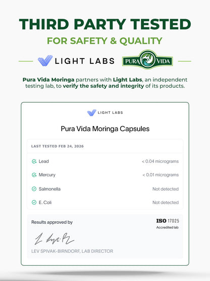 PURA VIDA MORINGA Organic Moringa Capsules, Pure Moringa Leaf Powder Single Origin for Energy, Metabolism & Immune Support