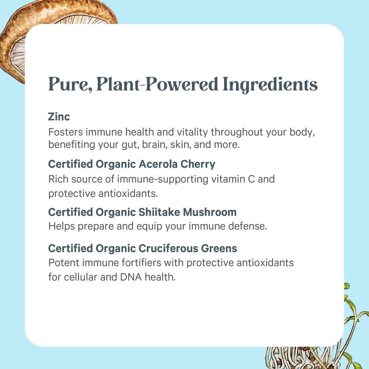 PURE SYNERGY Zinc Complex | Immune Support Supplement | Natural, Vegan Zinc Complex with Vitamin C and Organic Whole Foods | for Immune