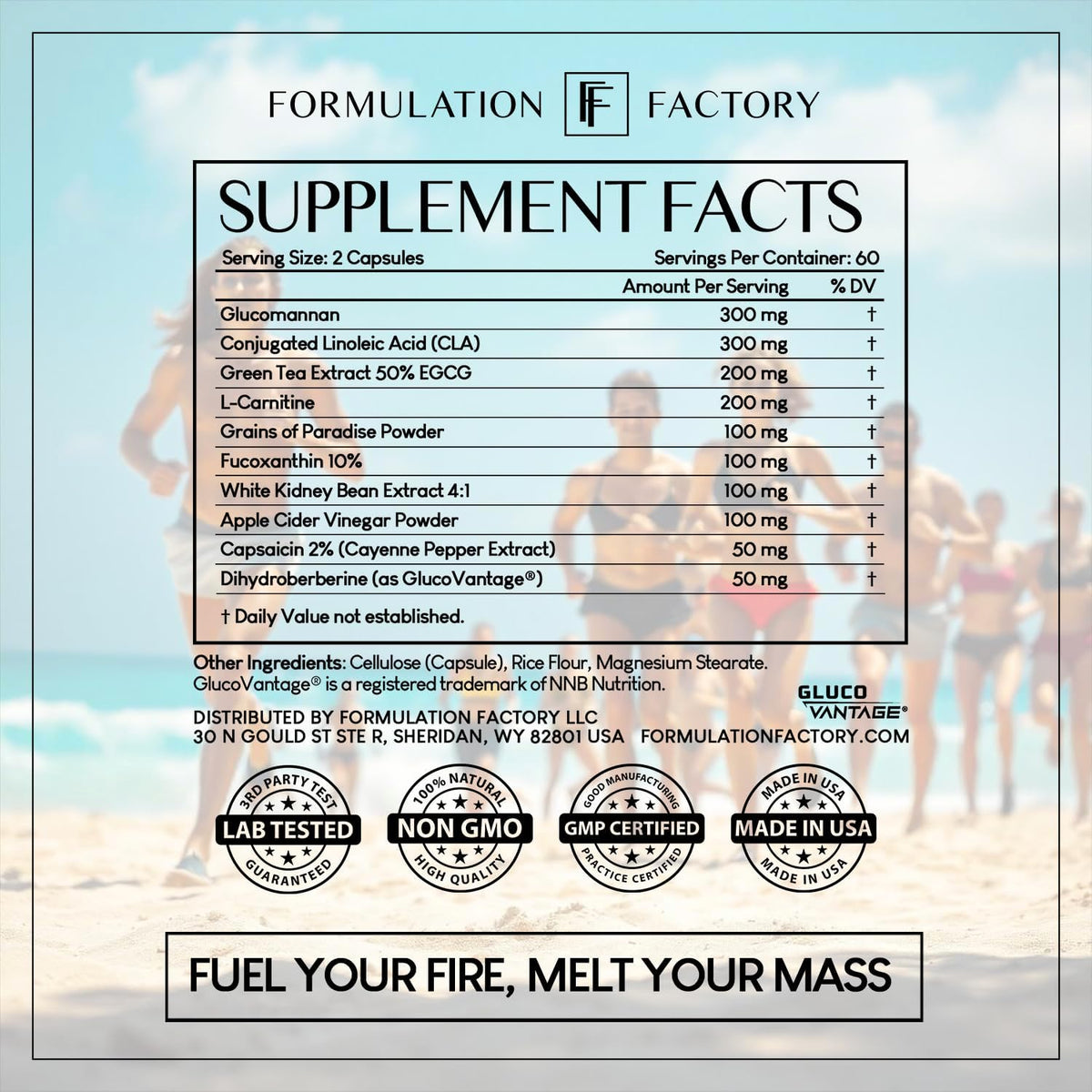 Formulation Factory Melt Mode x The Night Before (Bundle)