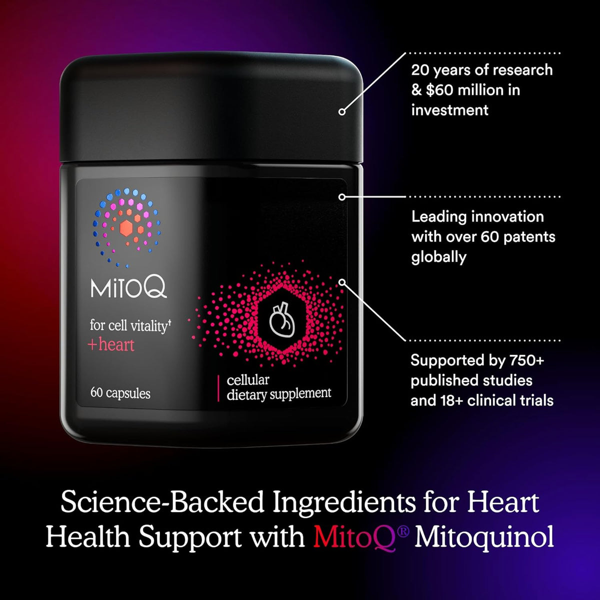 MitoQ Ultimate Antioxidant Bundle: Mitochondria-Targeted and Heart Health Antioxidant Supplements | Supports Cellular Longevity, Cardiovascular Health, Energy, and Healthy Aging (2 x 60 Capsules)