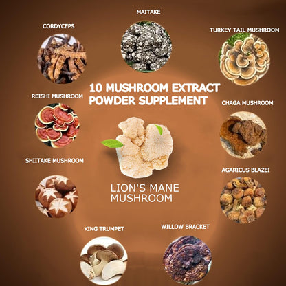 Suiyilary Mushroom Coffee, 10 Mushroom Extract Powder Blend Lion's Mane, Reishi, Chaga