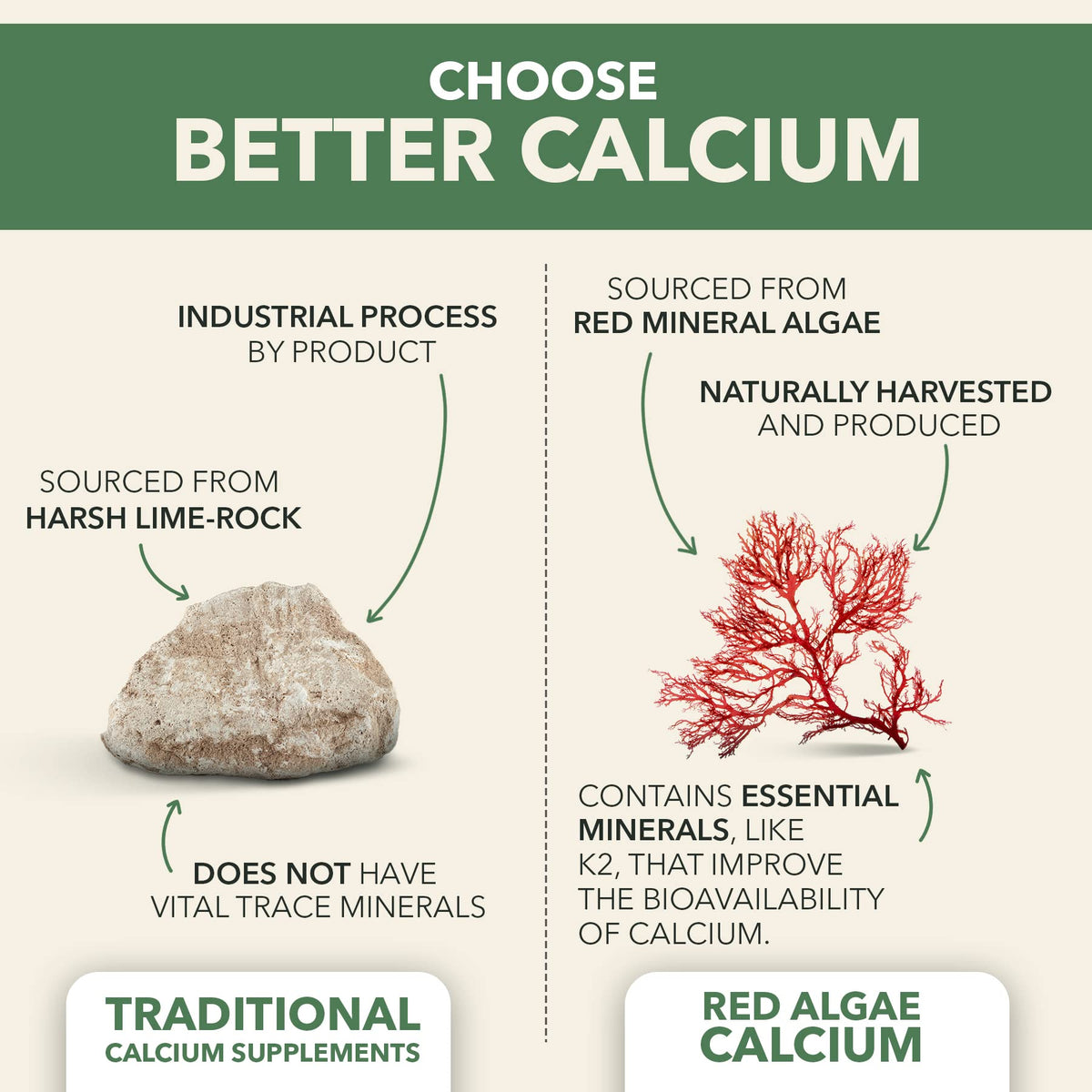 PlantFusion Vegan Calcium, Premium Plant Based Calcium (1000mg) Sourced from Icelandic Red Algae, Plus Magnesium, D3, K2