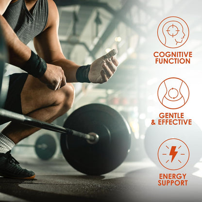 L Carnitine Supplement 1000 mg per Serving, 120 Vegetarian Capsules & Pure Form, 60 Servings