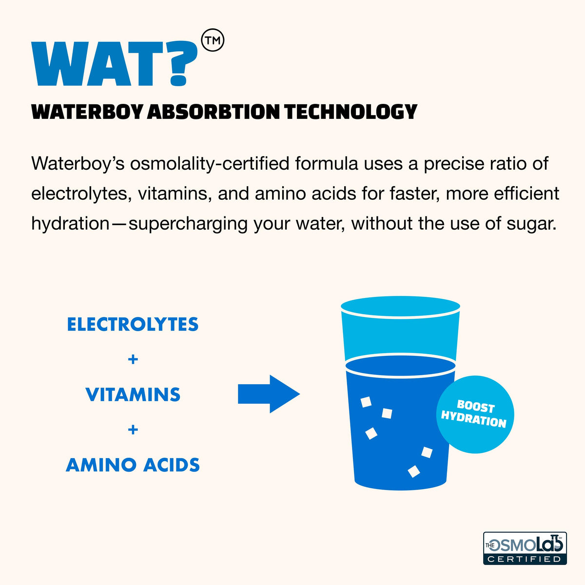 Waterboy Hydration Recovery Variety | 4-9x Electrolyte Powder Packets | Ginger + L-Theanine + L-Glutamine + Vitamins | No Sugar, All Natural, Gluten Free