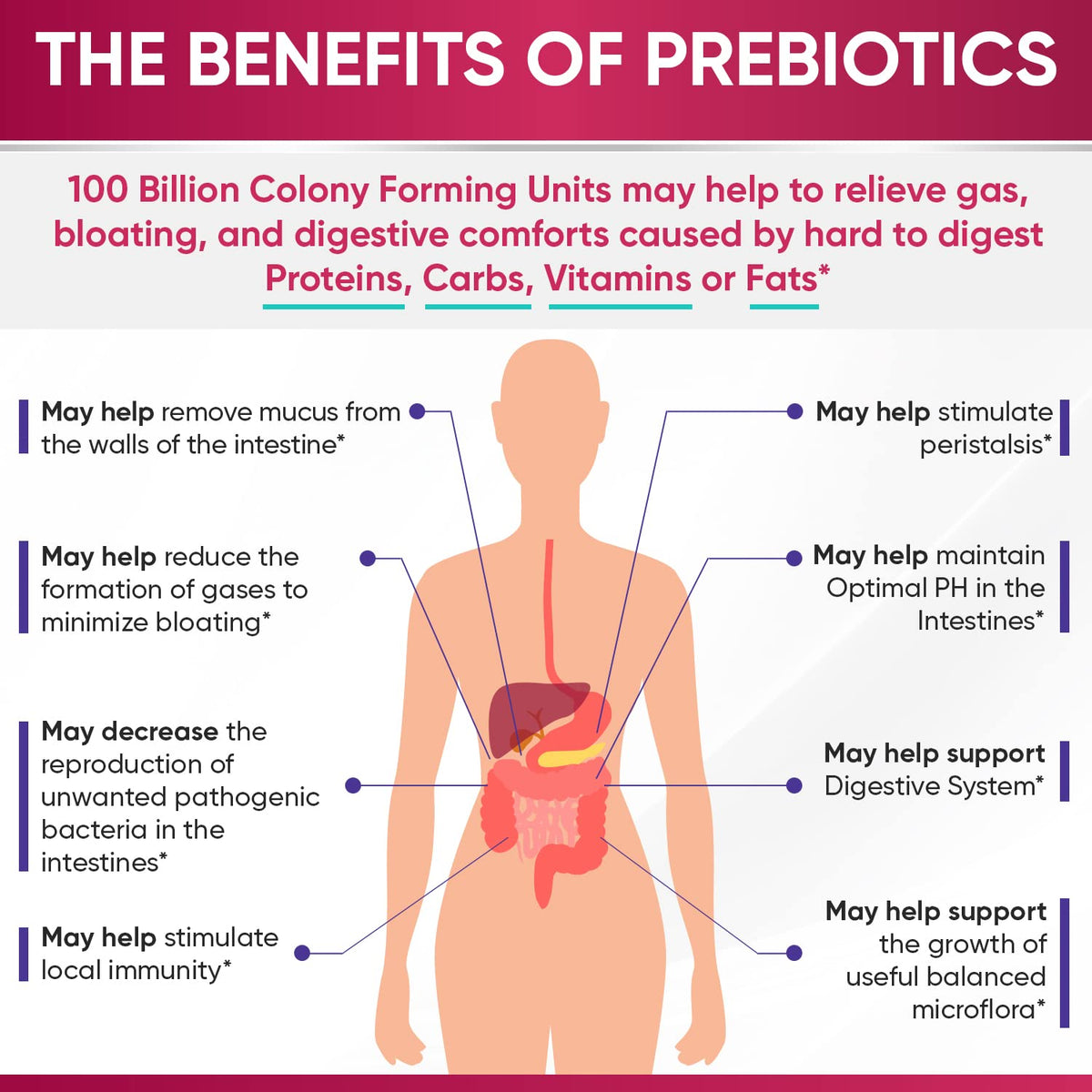 Wholesome Wellness Dr. Formulated Raw Probiotics for Women 100 Billion CFUs Capsules with Prebiotics, Digestive Enzymes