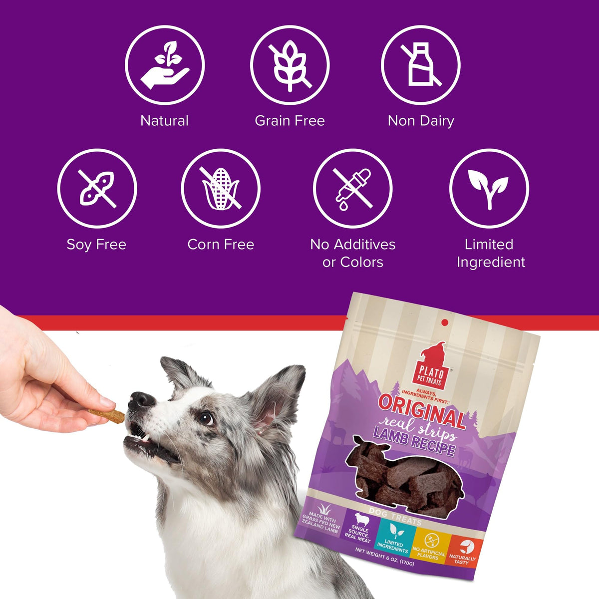 Plato Real Strips Salmon Recipe Dog Treats, Air-Dried High-Protein Soft Strips, Omega-Rich Skin & Coat Support, 18 oz