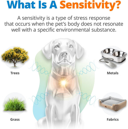 5Strands Pet Environmental Sensitivity Test for Skin Health