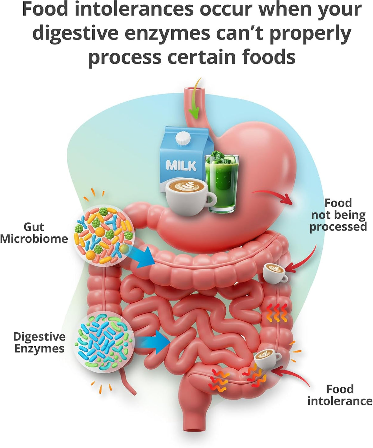 5Strands Food & Beverage Intolerance & Environmental Sensitivity Test, at Home Hair Analysis for Adults & Kids, Digestive & Environmental Insight, Results in 4 Days