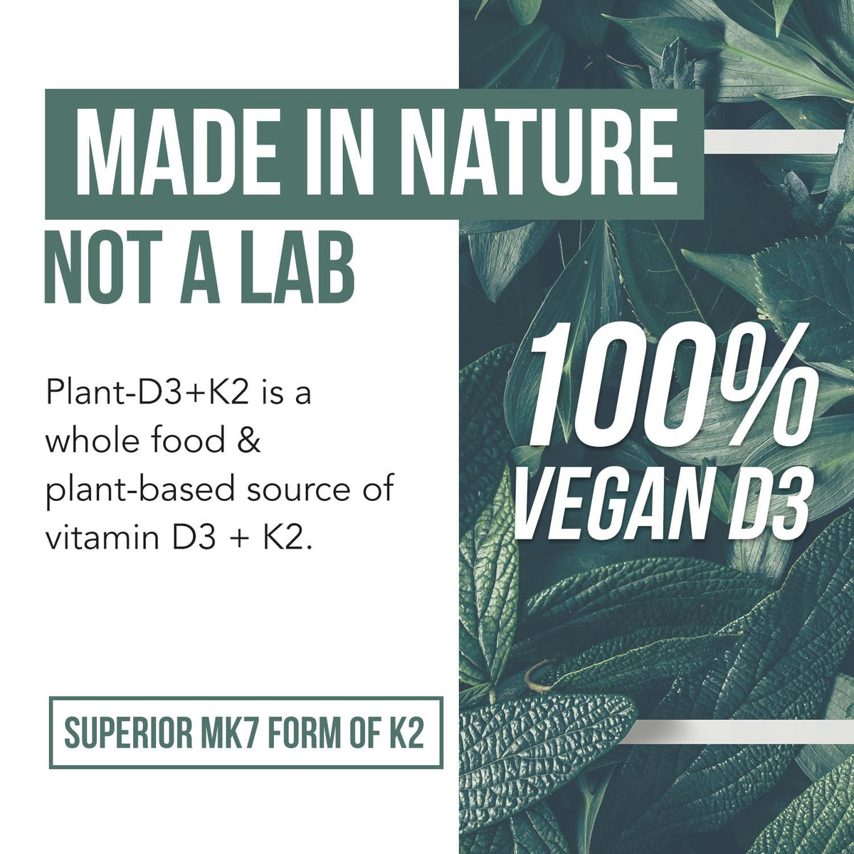 Organic Plant D3 K2 vitamin 10000 iu - All-Trans MK7 from MenaQ7 (120 mcg K2) - 100% Organic & Plant-Based Sublingual D3 Drops 10,000 iu (Cholecalciferol), 100% Vegan - Supports Immunity, Bone, Brain