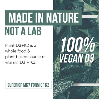 Organic Plant D3 K2 vitamin 10000 iu - All-Trans MK7 from MenaQ7 (120 mcg K2) - 100% Organic & Plant-Based Sublingual D3 Drops 10,000 iu (Cholecalciferol), 100% Vegan - Supports Immunity, Bone, Brain