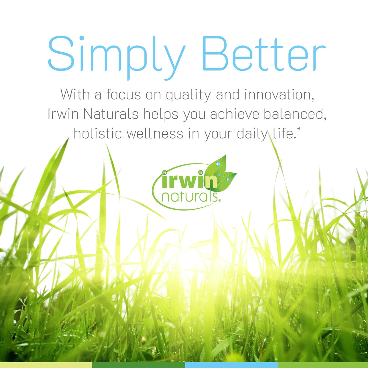 Irwin Naturals Only One Liquid-Gel Multi with Iron - 60 Liquid Softgels - Daily Essential Vitamins, Minerals, Antioxidants, Omega-3s & Green Super Foods Irwin NaturalsBuy Supplements Australia