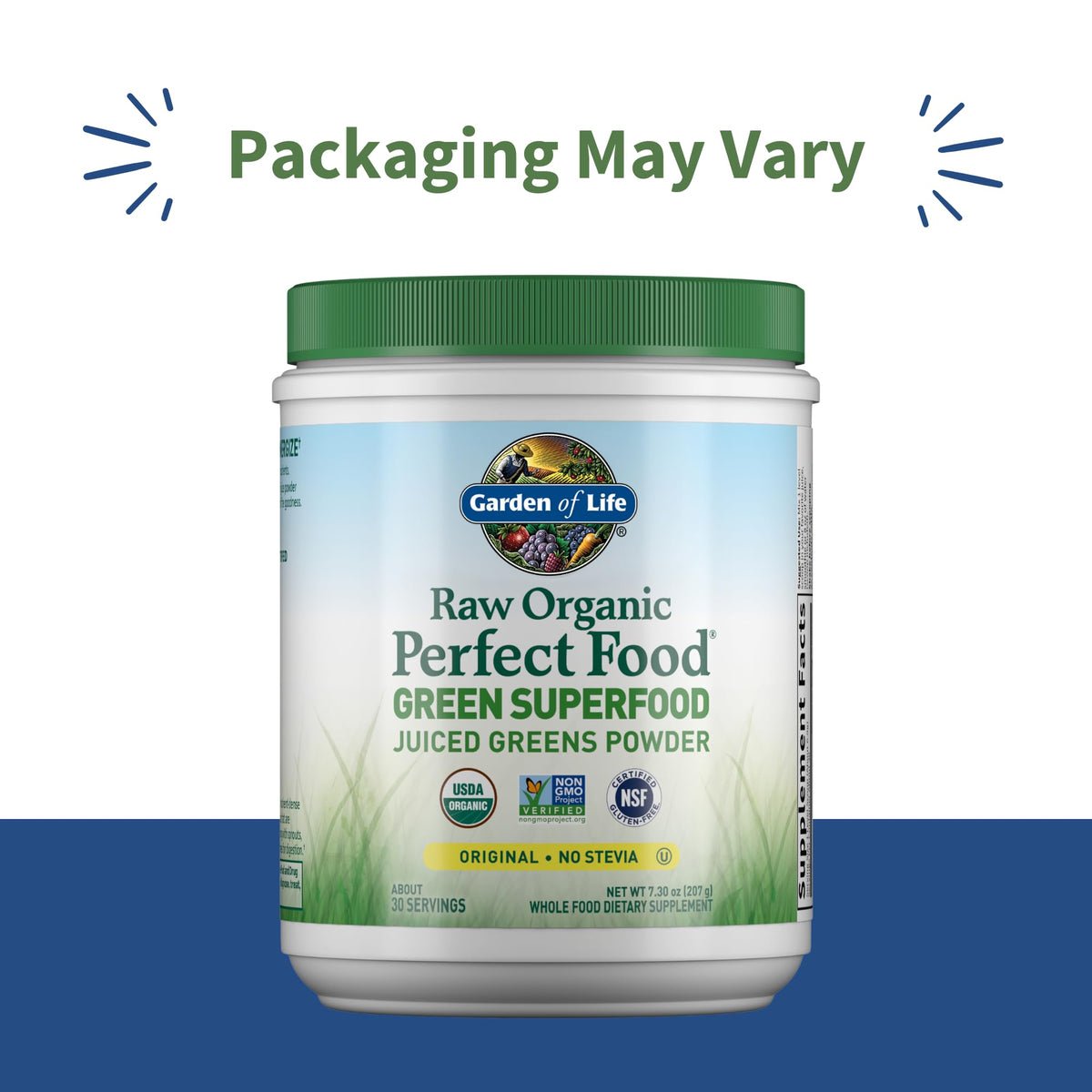 Garden of Life Raw Organic Perfect Food Green Superfood Juiced Greens Powder - Original Stevia-Free, 30 Servings, Non-GMO, Gluten Free Whole Food Dietary