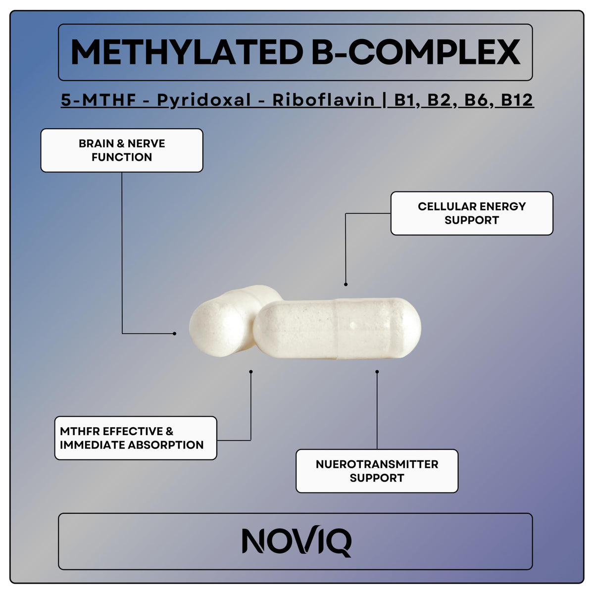11-in-1 Nootropic Supplement: Supports Memory & Cognition - 100mg Ginkgo 150mg Bacopa 300mcg Huperzine 200mg L-Theanine 150mg L-Tyrosine & Bioactive B-Complex w/ 5-MTHF - 1,100mg+ Serving - 60 Count NOVIQBuy Supplements Australia