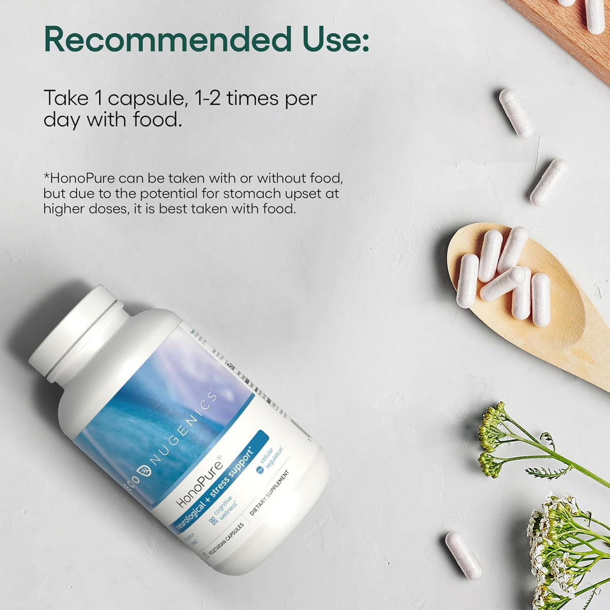 EcoNugenics Brain Health Supplement Bundle – 270 Capsules of PectaSol Modified Citrus Pectin Fiber + 120 Capsules of HonoPure Magnolia Bark Extract