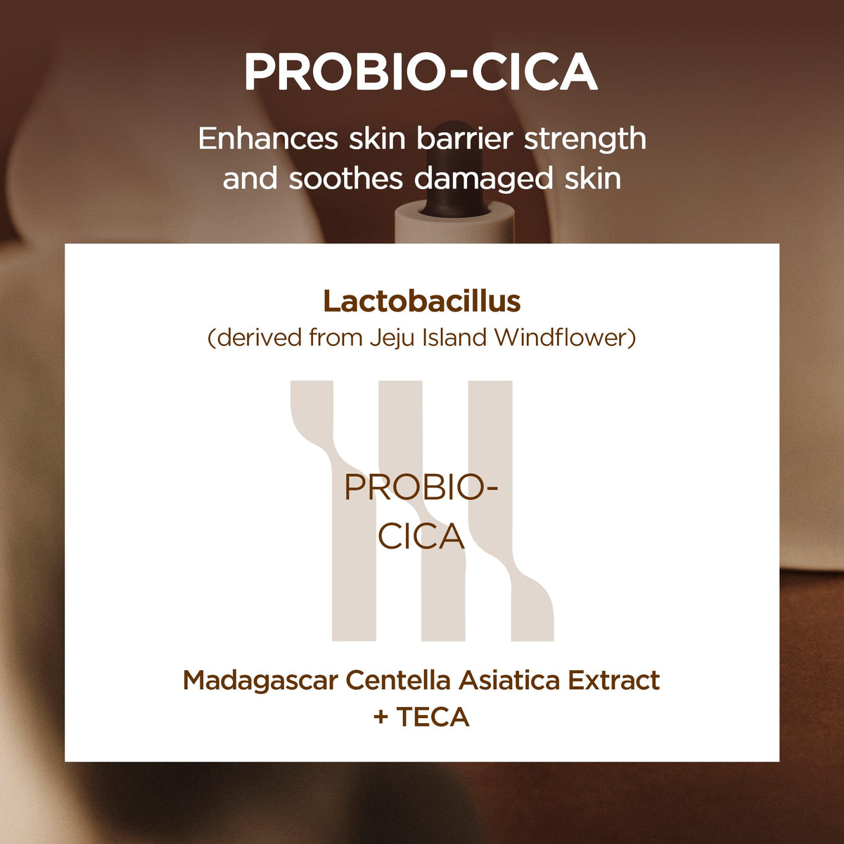 SKIN1004 Probio Cica Intensive Ampoule, Centella Serum for Face with Ceramide, Facial Serum for Nourishing & Soothing, Centella Ampoule