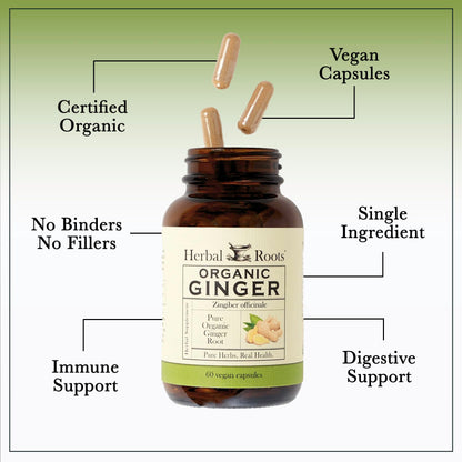 Herbal Roots Ginger Supplement | Organic Ginger Root Capsules | 1,200 mg of Pure Ginger Powder per Serving | 60 Vegan Capsules