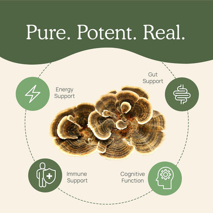 Real Mushrooms Turkey Tail for Humans & Pets - Bundle for Immune Support - Vegan, Non-GMO, Grain-Free, Gluten-Free Mushroom Extract Capsules - Verified Levels of Beta-Glucans