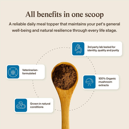 Real Mushrooms Whole Dog Health – Functional Mushroom Blend for Dogs with Lion’s Mane, Cordyceps, Turkey Tail, Reishi, Shiitake for Overall Wellbeing of Dogs – 2.65 oz Powder Supplement