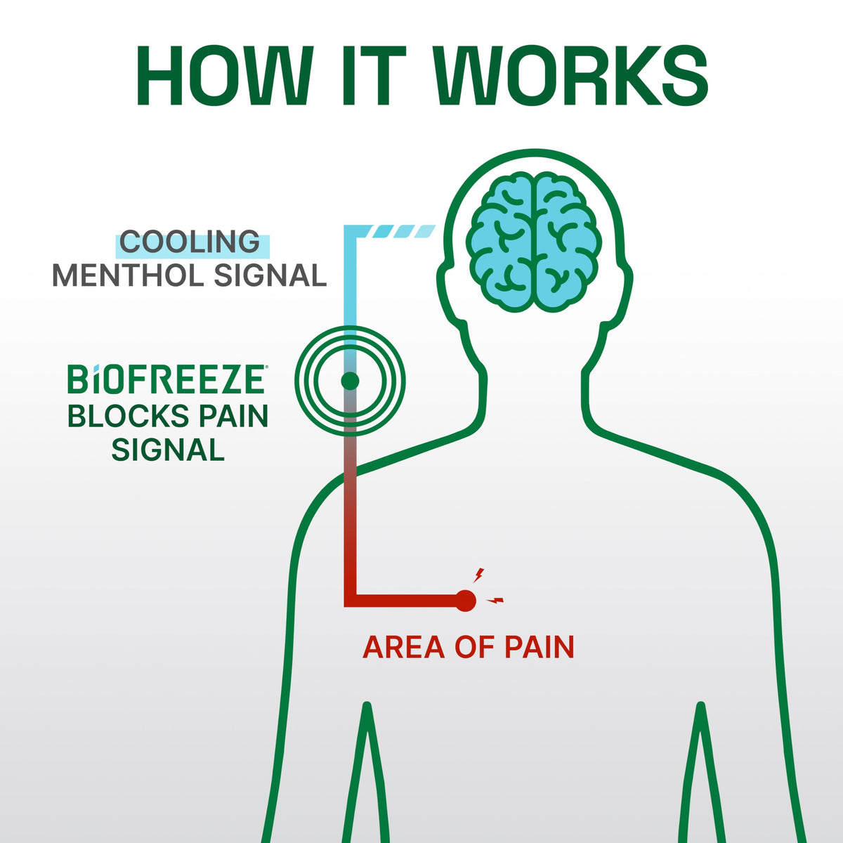 Biofreeze Professional Colorless Pain Relief Roll On, Knee & Simple Backache Relief, Arthritis Pain Reliever, Neck Pain Relief, Cooling Joint Pain Relief, Roll-On Menthol Gel 3 Fl Oz BiofreezeBuy Supplements Australia