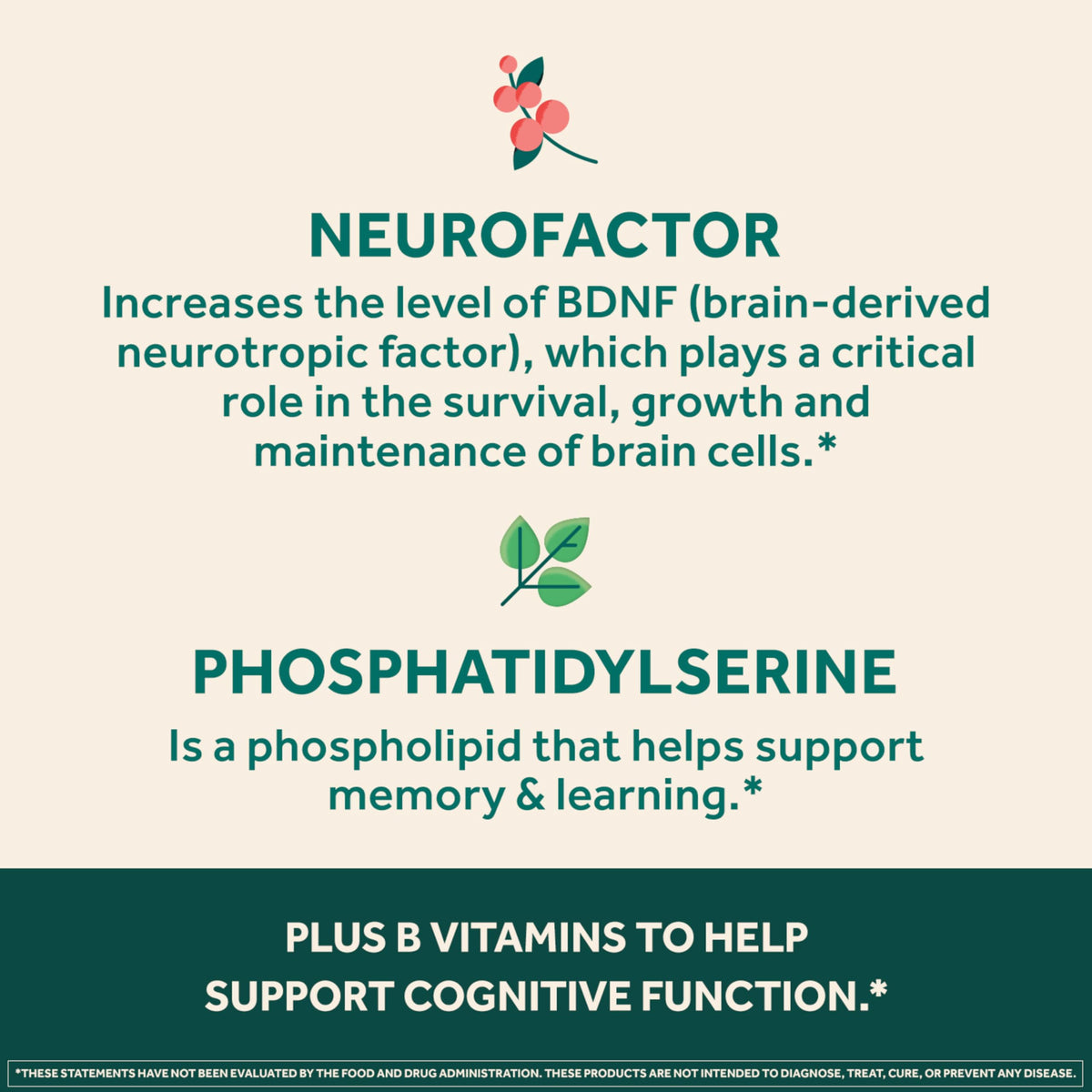 NEURIVA Ultra Decaffeinated Clinically Tested Supplement for Mental Alertness, Memory, Focus & Concentration, Cognivive, Neurofactor