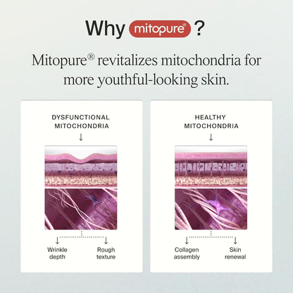 Timeline Mitopure™ - Dewy Cream Lightweight Moisturizer With Peptides to Hydrate, Plump & Protect Dry Skin - 1.7 Fl Oz