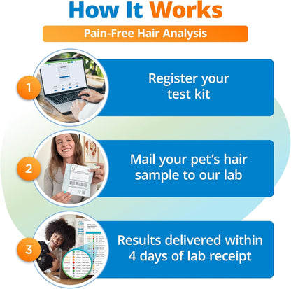 5Strands Kibble & Wet Pet Food Intolerance Test for Dogs & Cats