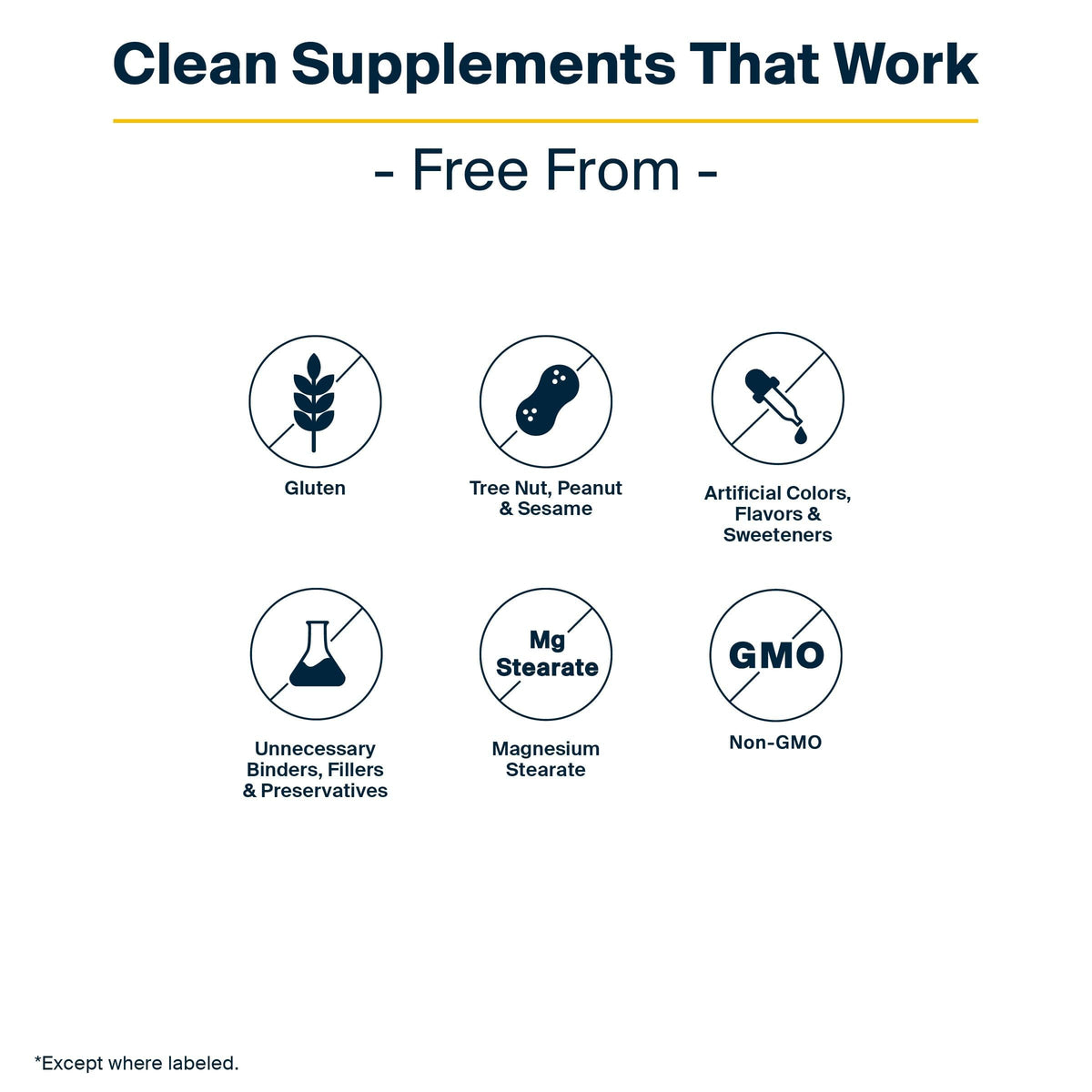 Vital Nutrients GI Repair Powder - Leaky Gut Powder with L Glutamine and Zinc - Digestive Enzyme Supplement to Support Gut Health