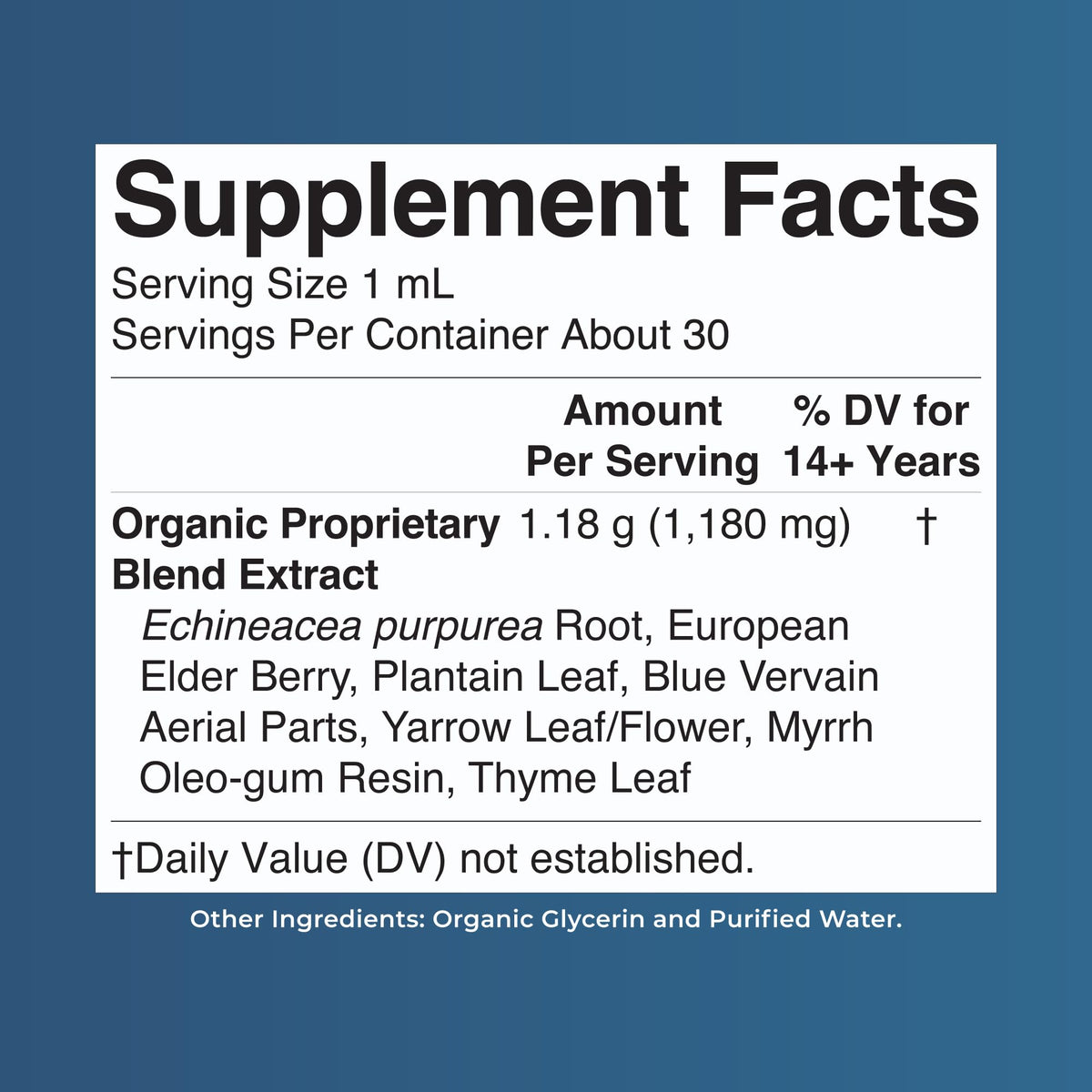 MARYRUTH'S Lymphatic Support Liquid Drops USDA Organic | Herbal Blend with Echinacea & Elderberry | Blue Vervain