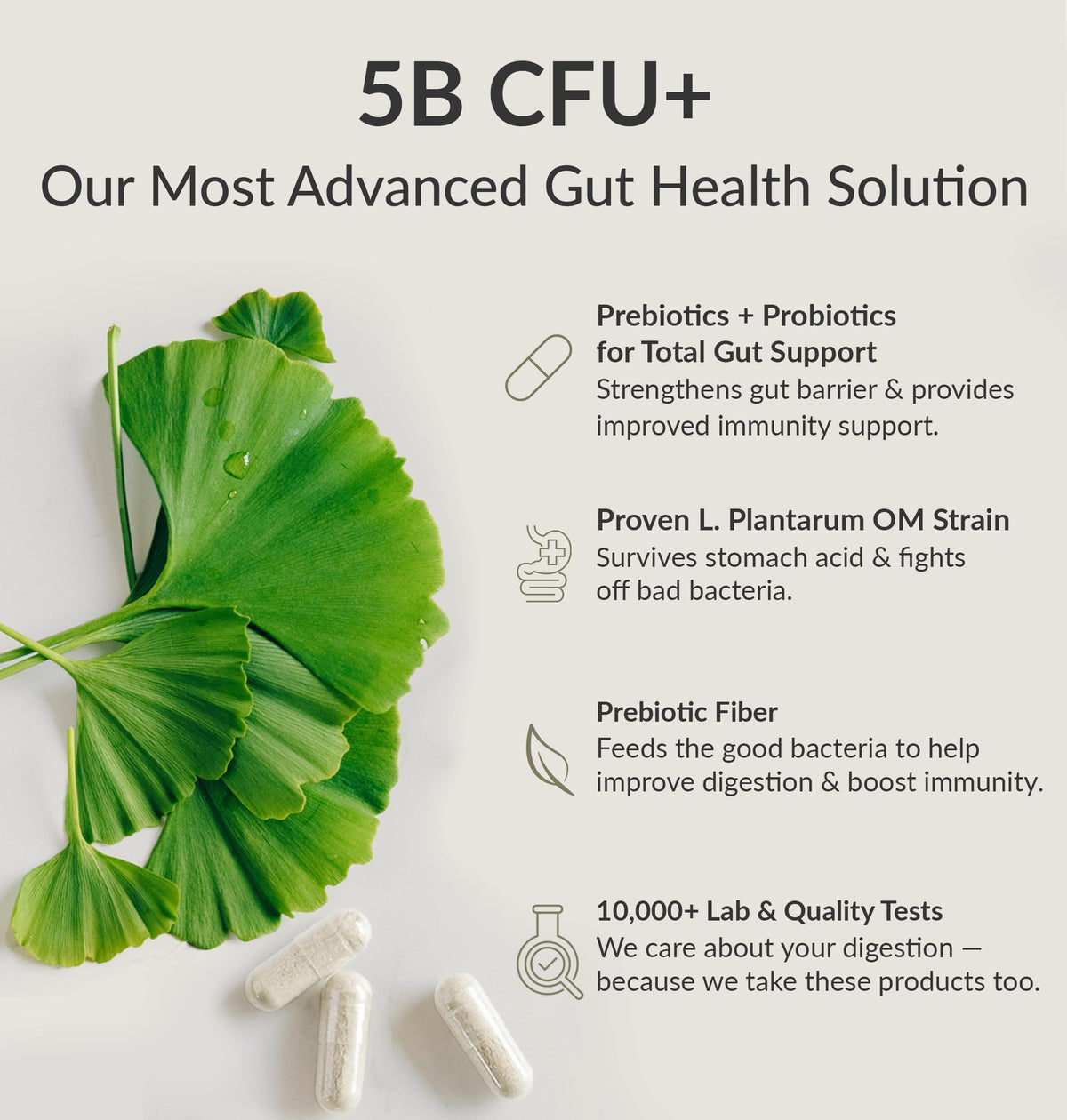 BIOptimizers Probiotic Breakthrough – Lactobacillus Plantarum OM Probiotics & Prebiotics Health Supplement for Gut, Digestive & Immune Support Probiotics