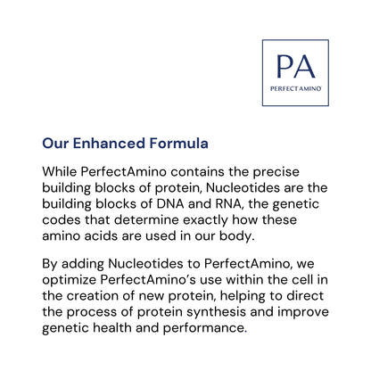 BodyHealth Probiotic Enhanced with PerfectAmino for Women and Men, Spore Based with Bifidobacterium, Lactobacillus Salivarius,