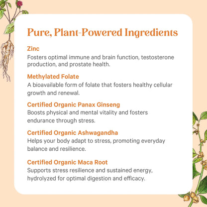 PURE SYNERGY Vita·Min·Vitality | Natural Multivitamin for Men | Men’s Daily Multivitamin Made with Organic Whole Foods | PURE SYNERGY