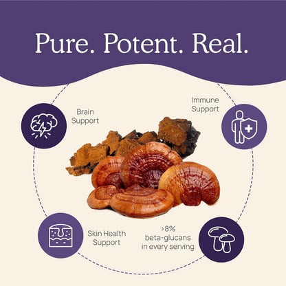 Real Mushrooms Vitamin D2, Zinc, Chaga, Reishi (120ct) and Lion's Mane (300ct) Bundle - Immunity and Cognitive Support, Chelated Zinc for Improved Absorption - Vegan, Gluten Free, Non-GMO