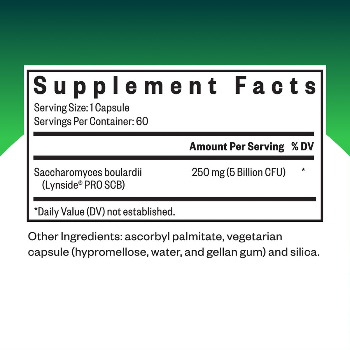 Seeking Health Saccharomyces Boulardii - Gentle Digestive Support for Healthy Bowel Movements* - Supports a Good GI Tract Environment & Microbiome While Traveling*