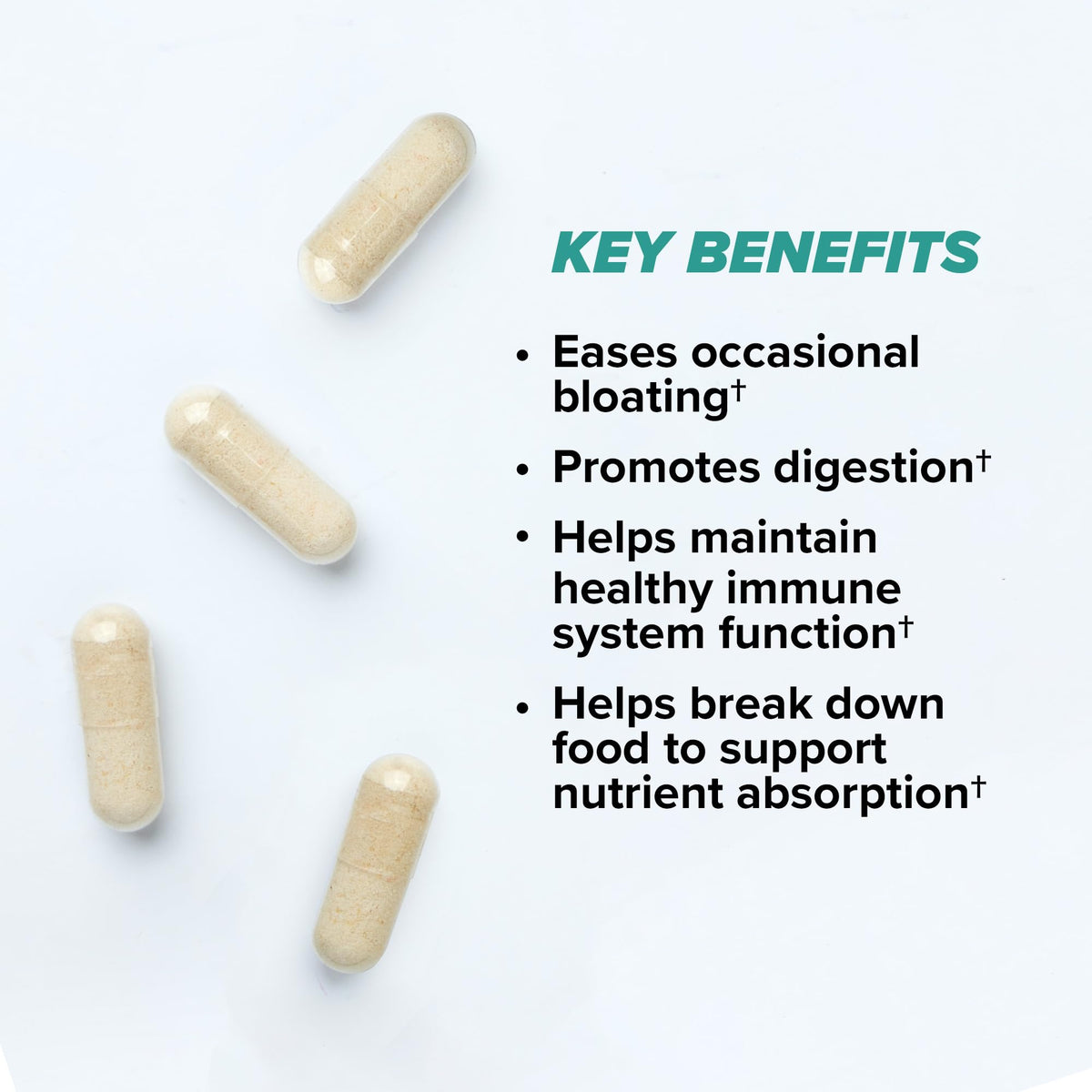 ONNIT Total Gut Health Daily Digestive Support, IGEN Non-GMO Tested Digestion Supplement for Women and Men with 7 Strains of Probiotics, Prebiotics,