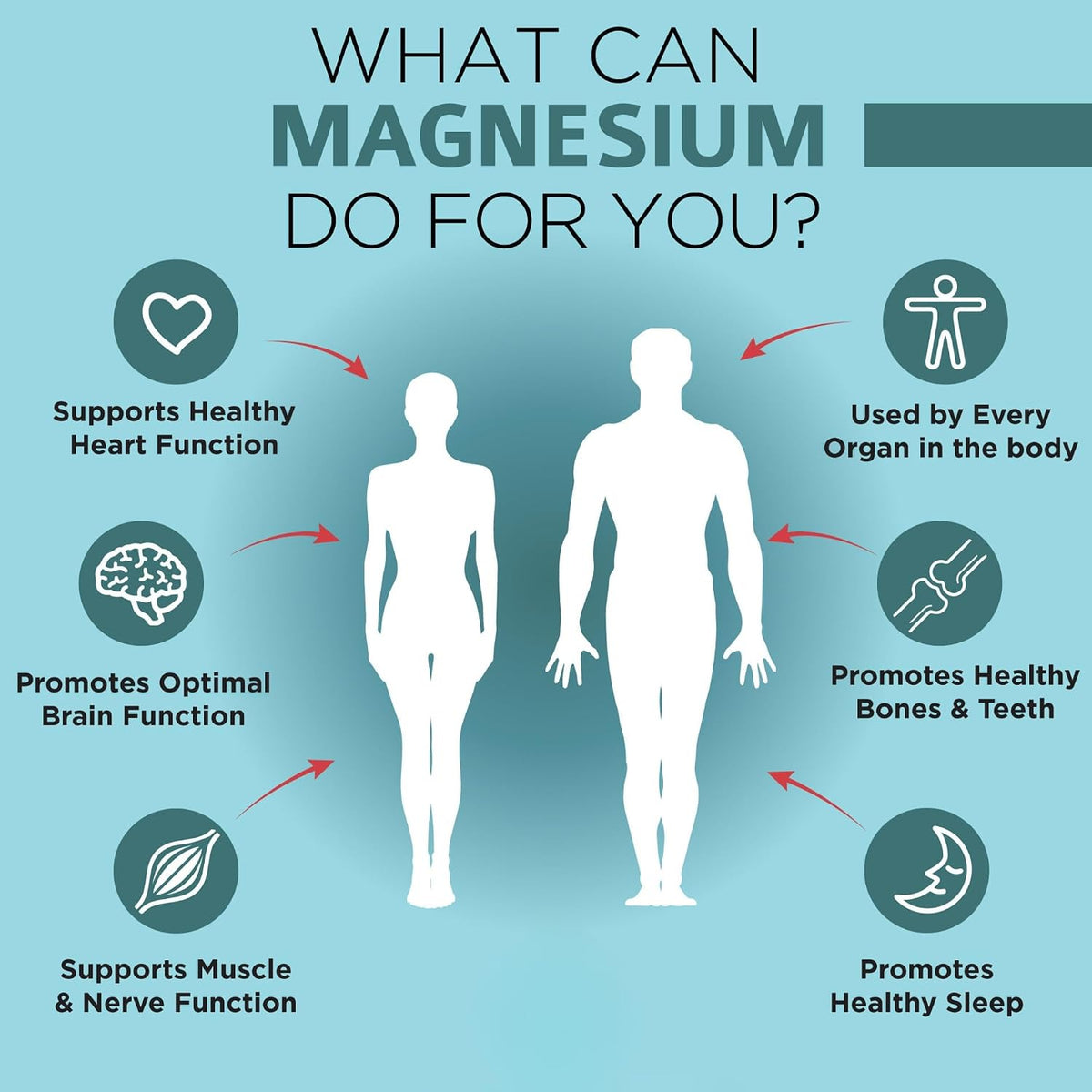 OmniBiotics Ultimate Daily Multivitamin + Magnesium Glycinate + Ashwagandha Root Supplement