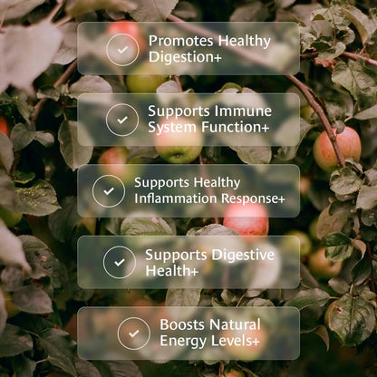 Healing Leaves, Longevity Blend Loose-Leaf Tea- 30 Servings | Biblically Inspired, 12 Fruit Tree Leaf Blend. Supports Digestion, Immune Function, Healthy Inflammation Response and Energy
