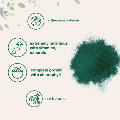 Micro Ingredients Organic Spirulina Powder, 1lb | Blue-Green Algae, Rich in Vegan Protein, Vitamins & Minerals | Source of Natural Chlorophyll & Enzymes