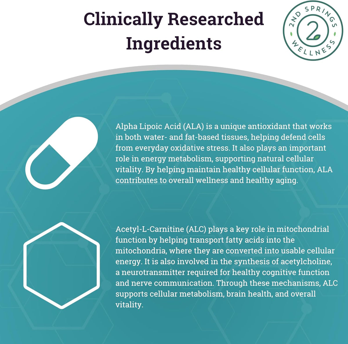 ALA & ALC Complex + Vitamin D3 K2 Bundle | Energy, Metabolism, Cognitive Support, Bone Strength, Immune Health & Daily Wellness