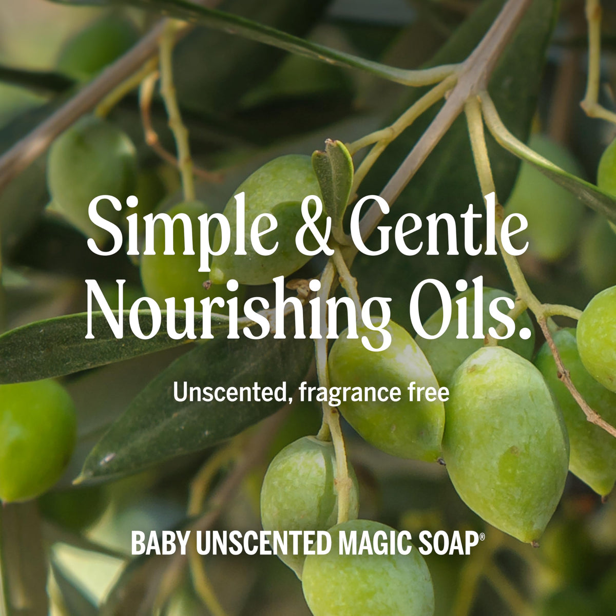 Dr. Bronner's Pure-Castile Magic Liquid Soap (Baby Unscented, 8 Ounce)- Made with Regenerative Organic Certified Oils, For Face