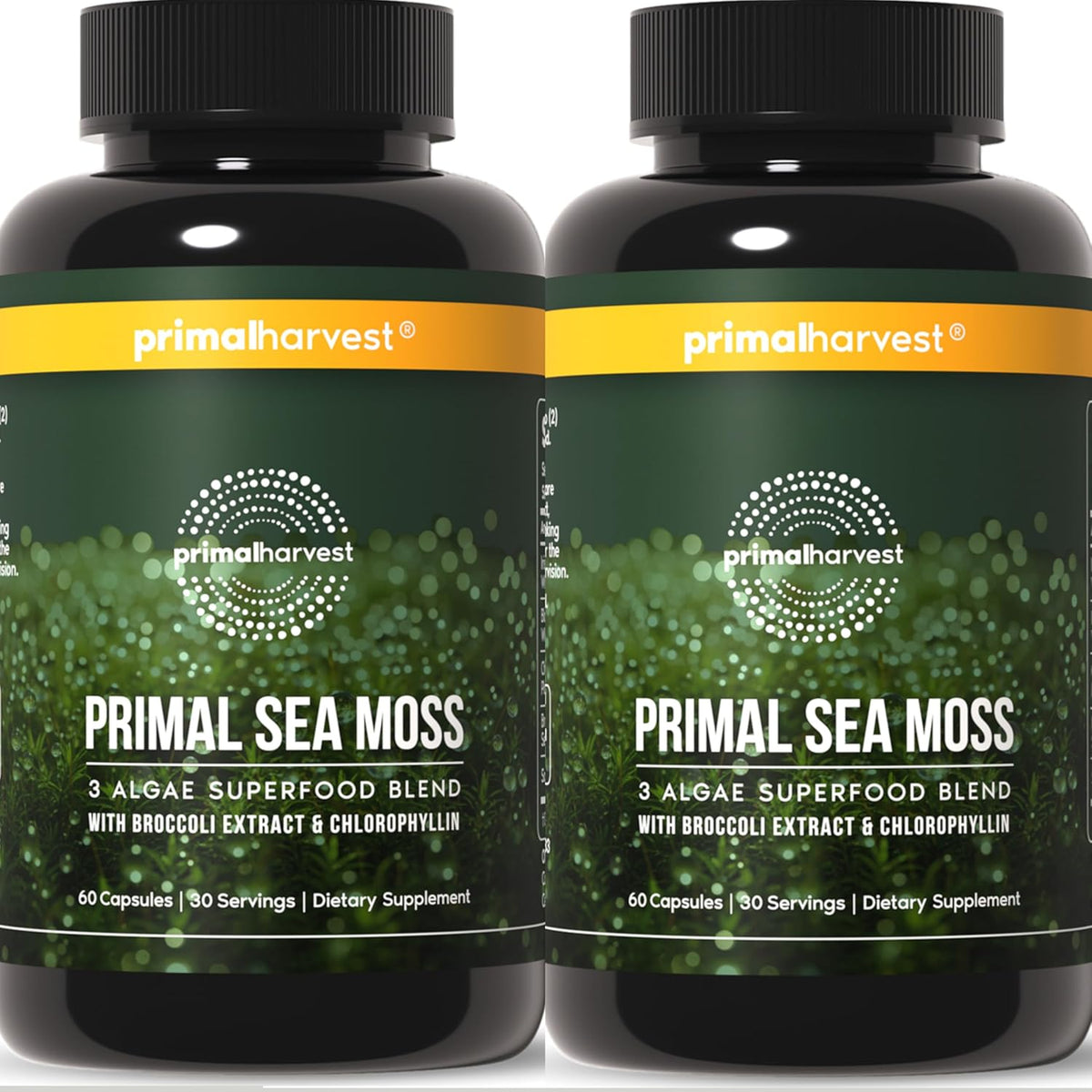 Primal Harvest Sea Moss – Daily Vegan Supplement, Dairy & Soy Free
