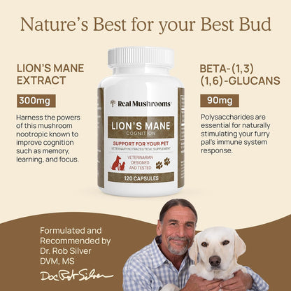 Real Mushrooms Lions Mane for Humans (300ct) and Pets (120ct) - Bundle for Cognition & Immunity - Vegan, Non-GMO, Gluten-Free, Grain-Free Mushroom Extract Supplements