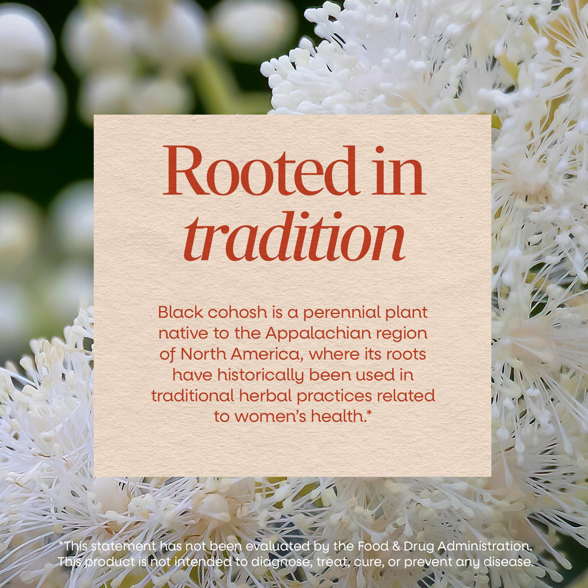 Nature’s Way Herbs Black Cohosh Root Capsules, Traditional Women’s Herbal Supplement*, Cimicifuga Racemosa Root,
