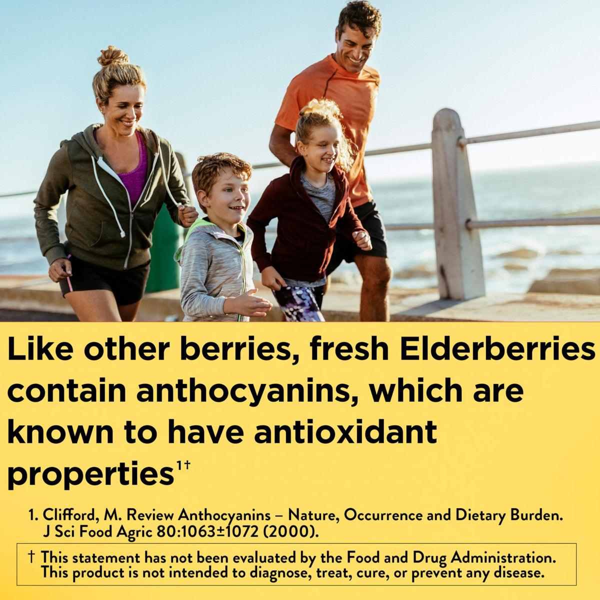 Nature Made Elderberry Gummies with Vitamin C and Zinc, Dietary Supplement for Immune Support